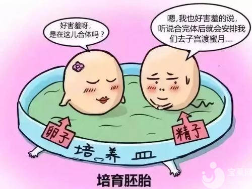 高齡女性真的不能做試管嬰兒了嗎？