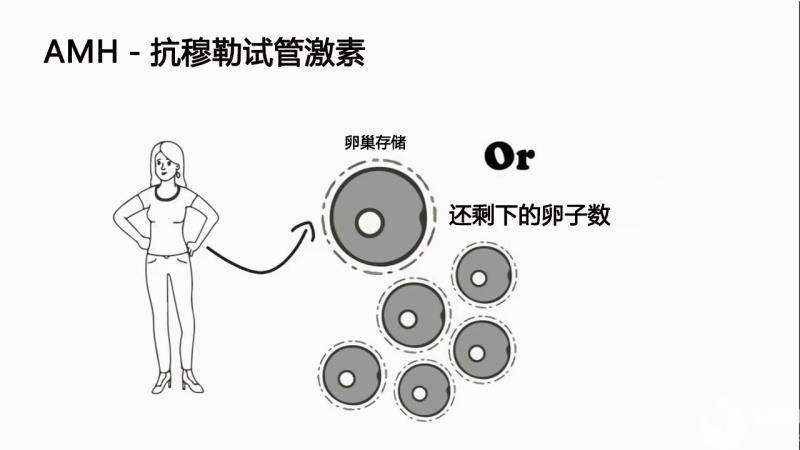 高齡女性如何提高AMH呢？