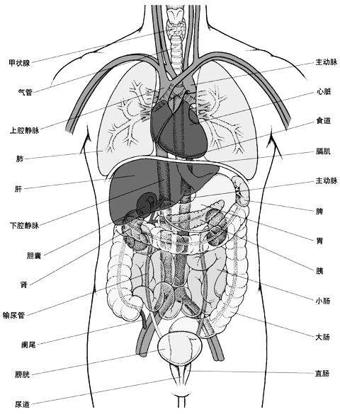 中醫灌腸竟然可以治療輸卵管粘連！