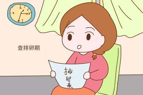 排卵期跟排卵日，你是否也分不清楚？