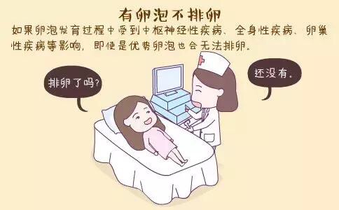 女性不排卵，是什么原因導致的呢？