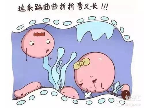 輸卵管積水不能治？假信息！