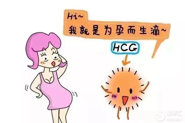 你知道嗎？HCG是帶來“孕氣”的象征