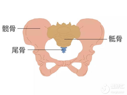 月經(jīng)期間骶骨痛，是盆腔充血的原因嗎？