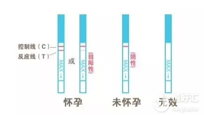 驗孕方式多樣化，哪一種的結果最準？