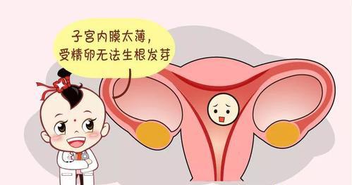 子宮內膜薄