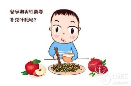 美國試管嬰兒備孕期間，男性要吃葉酸嗎？