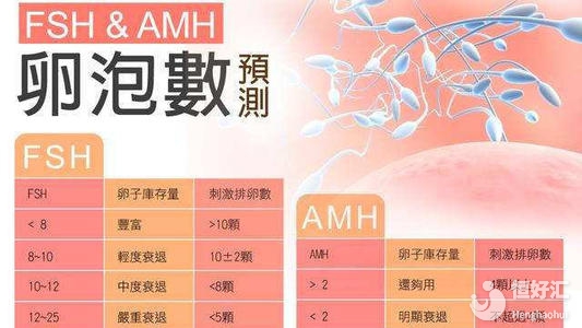 年齡的影響最大！女性AMH正常值詳細介紹