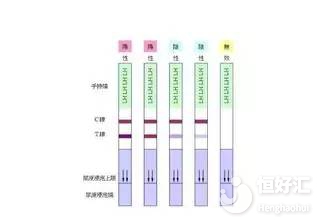 排卵試紙什么時候測最準？建議選擇這兩個時間！