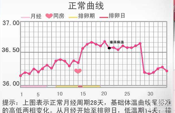 著床降溫只有0.2度？附標準的著床降溫體溫圖！