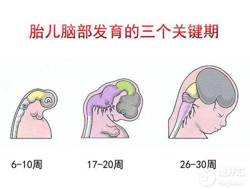 做胎教真的讓寶寶變聰明？醫生這句話打破所有幻想