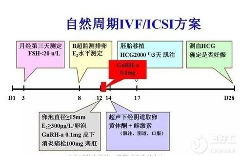 試管自然周期不知如何選擇？看完這個你就知道了