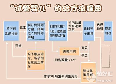 海外試管嬰兒有哪些流程？花3分鐘就能了解