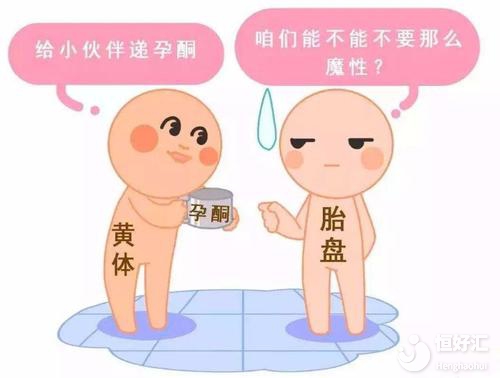 做試管能不能懷孕？醫生：這幾點因素說了算