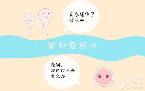 輸卵管積水會(huì)影響懷孕？能否做試管嬰兒？