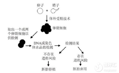 三代試管嬰兒和一二代有什么區(qū)別？說出來別不信