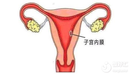 子宮內膜薄