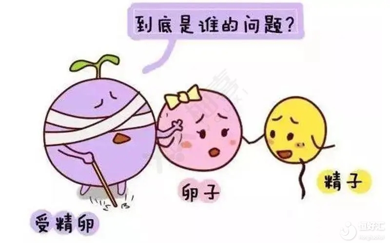 <strong>試管嬰兒卵子質(zhì)量真的沒有辦法提升嗎？</strong>