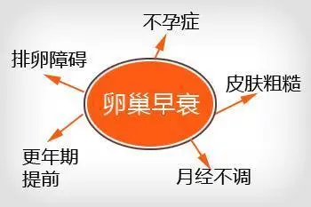 卵巢早衰三大問：有什么癥狀？怎么治療？可以做試管嗎？