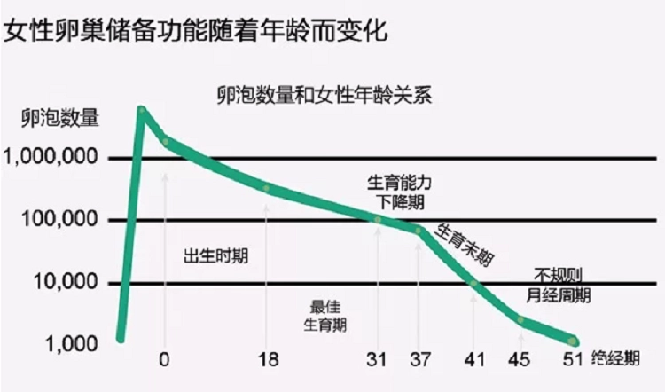 卵巢一生中是如何變化的？找到卵巢早衰的6大“元兇”，該謹記了