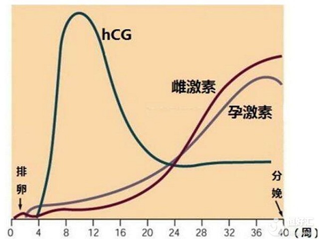 試管嬰兒移植后，抽血查hcg激素翻倍，大概要查幾次？