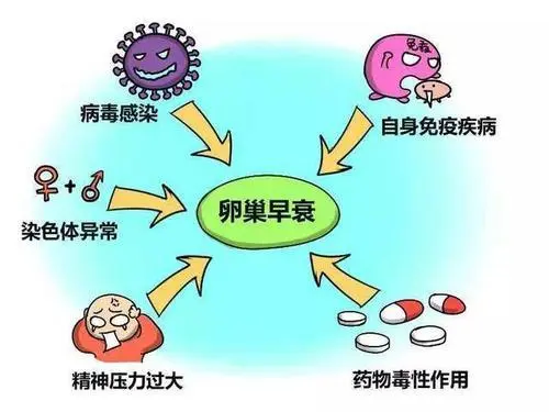 卵巢出現早衰的6個癥狀，女性留意下自己的身體